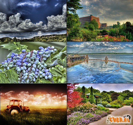 Nature Wide Wallpapers Pack #1