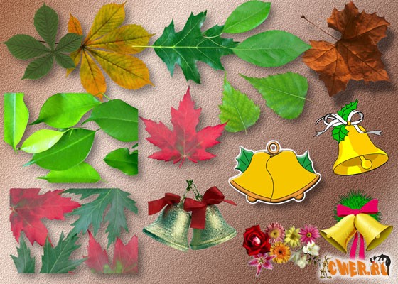 Дополнительные элементы к школьным фото