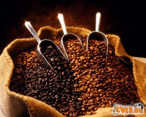 Свежий ароматный бодрящий КОФЕ