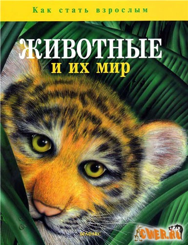 Животные и их мир