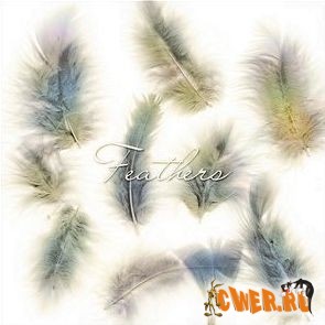 Feathers Brushes