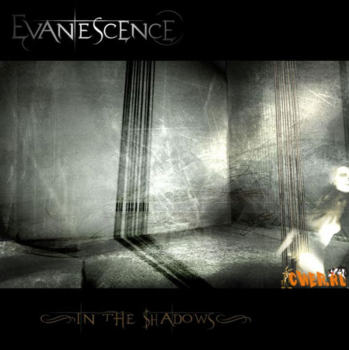 Evanescence - In The Shadows (2007)