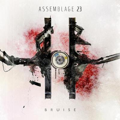 Assemblage 23. Bruise. Limited Editio