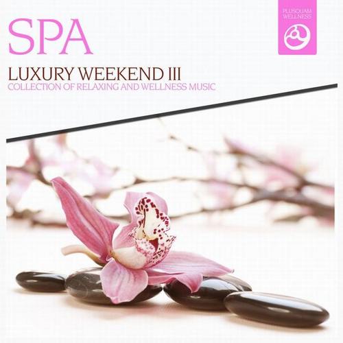 Luxury Weekend. Collection of Relaxingand Wellness Music Vol 3 (2013)