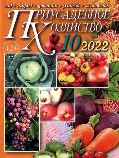 Приусадебное хозяйство №10 октябрь 2022 + приложения Цветы в саду и дома Дачная кухня