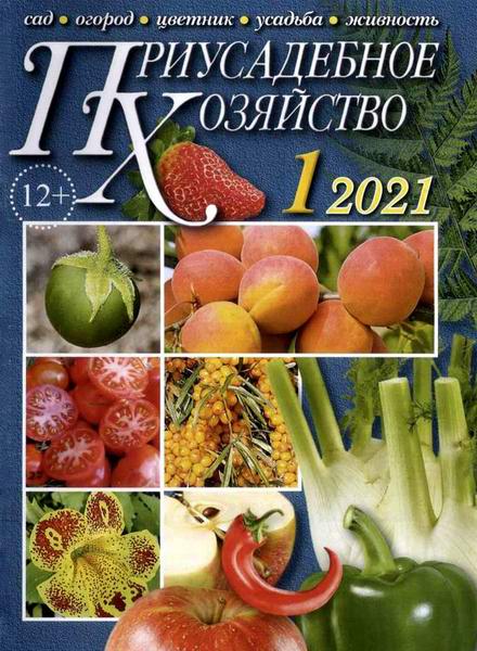 Приусадебное хозяйство №1 январь 2021 + приложения Цветы в саду и дома Дачная кухня