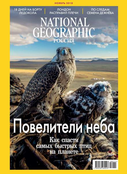 журнал National Geographic №11 ноябрь 2018 Россия
