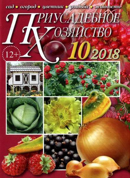 Приусадебное хозяйство №10 октябрь 2018 + приложения Цветы в саду и дома Дачная кухня