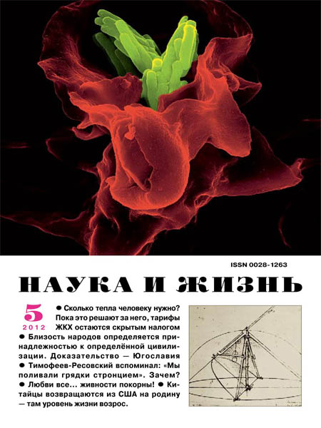 Наука и жизнь №5 2012