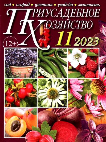 Приусадебное хозяйство №11 ноябрь 2023 + приложения Цветы в саду и дома Дачная кухня