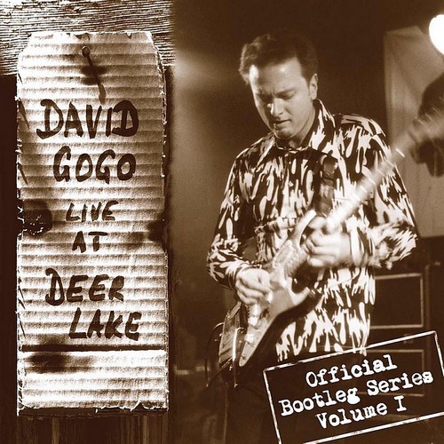 David Gogo - Live At Deer Lake (2003)