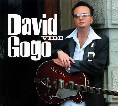 David Gogo - Vibe (2004)