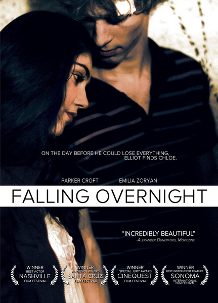 Накануне вечером / Falling Overnight (2011) DVDRip