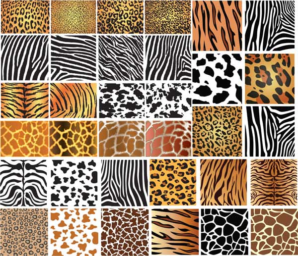 Animals skin patterns (Cwer.ws)