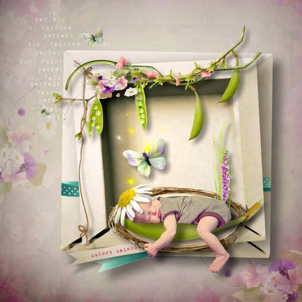 Colors of the rainbow (Cwer.ws)