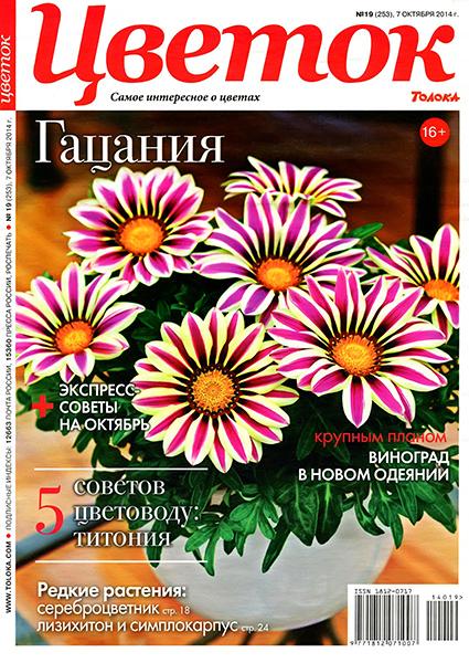 Цветок №19 2014