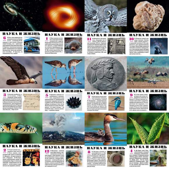 Наука и жизнь №1-12 январь-декабрь 2025 Подшивка 2025 Архив 2025