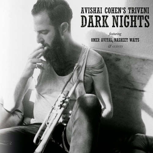 Avishai Cohen's Triveni. Dark Nights (2014)