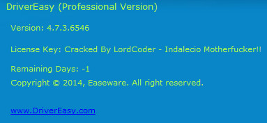 DriverEasy Professional