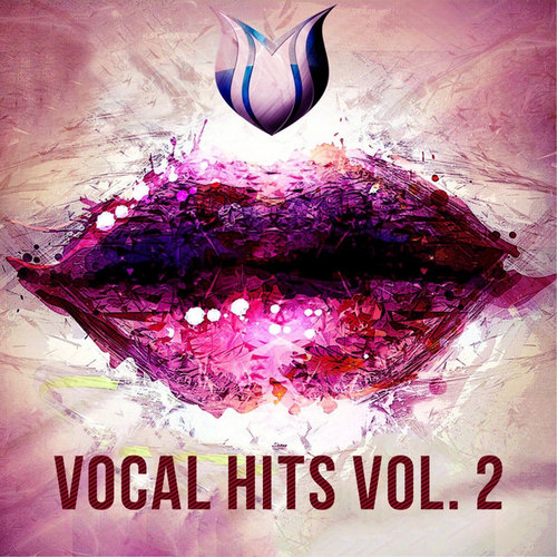 Vocal Hits Vol.2