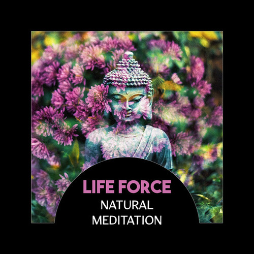 Life Force: Natural Meditation, Total Relaxing, Anxiety Free Life