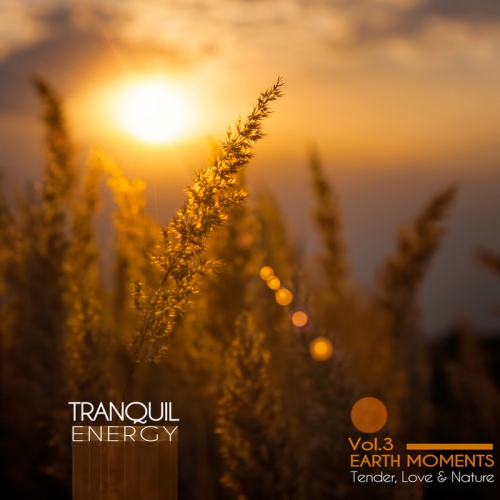 Tranquil Energy  Vol. 3: Earth Moments - Tender, Love & Nature 