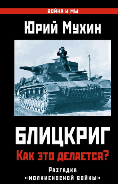 Юрий Мухин. Блицкриг. Как это делается? Разгадка