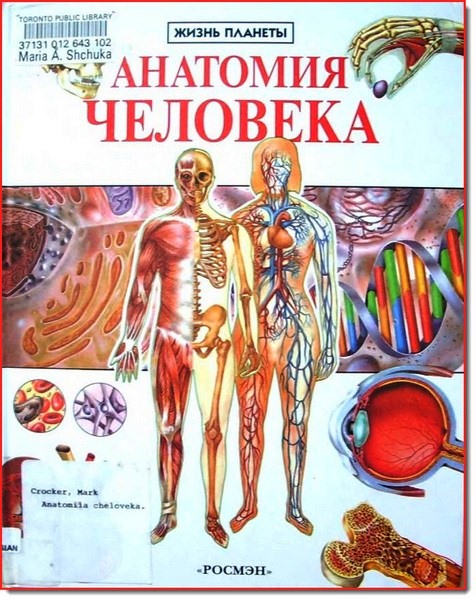 Марк Крокер. Анатомия человека