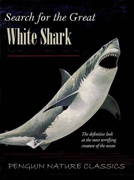 Адриатика. В поисках белой акулы (2012) SATRip