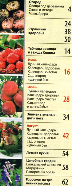 Моя прекрасная дача. Спецвыпуск №2 (2012)