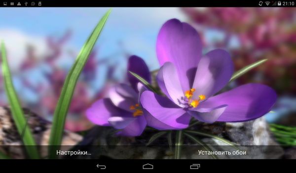 Nature Live: Spring Flowers XL