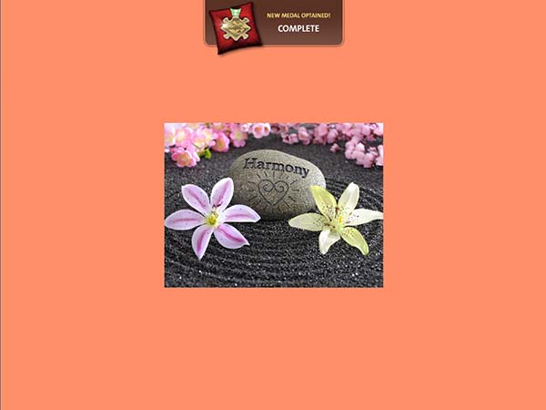 Ravensburger Puzzle 2 (2015)