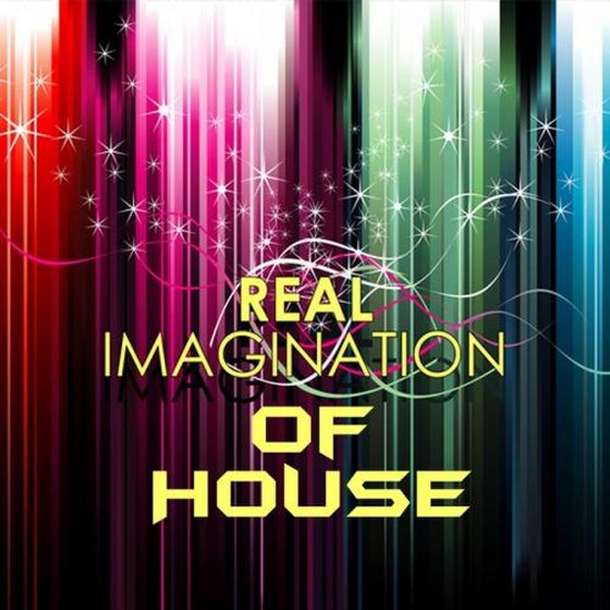 скачать Real Imagination Of House (2011)