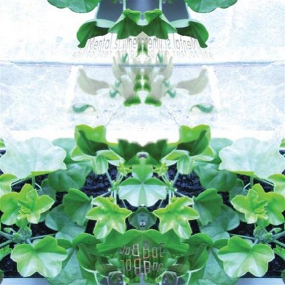 Book Of Changes. Mental St.illness And The Rest Of Life (2013)