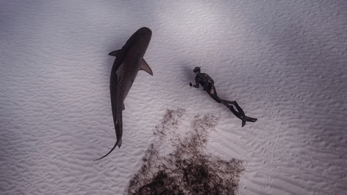 Computer Desktop Wallpap…Collection. www.cwer.ru