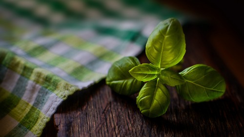 Computer Desktop Wallpap…Collection. www.cwer.ru