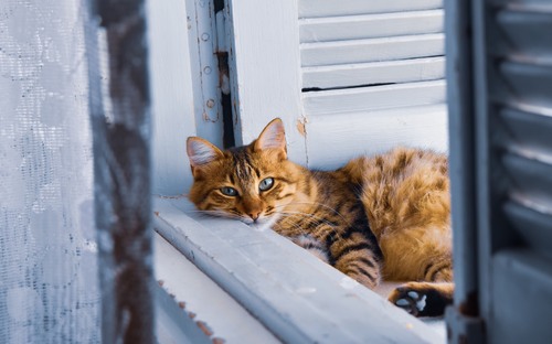 Computer Desktop Wallpap…Collection. www.cwer.ru