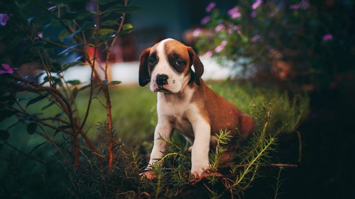 Computer Desktop Wallpapers Collection. www.cwer.ru