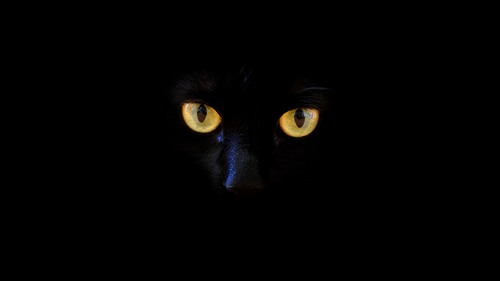 Computer Desktop Wallpapers Collection. www.cwer.ru