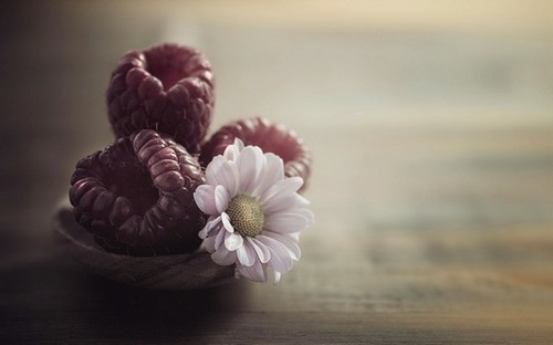 Computer Desktop Wallpapers Collection. www.cwer.ru