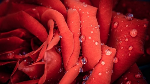 Computer Desktop Wallpapers Collection. www.cwer.ru