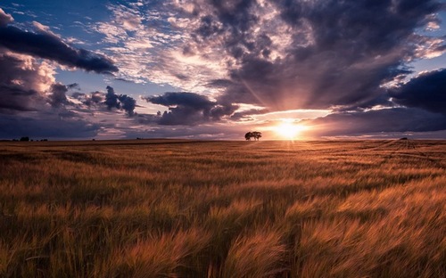 Computer Desktop Wallpapers Collection. www.cwer.ru