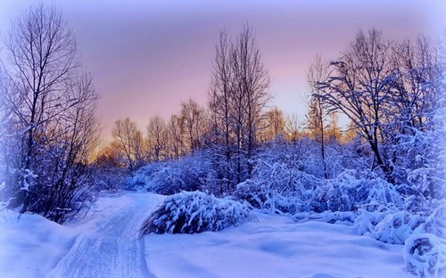 Computer Desktop Wallpapers Collection. www.cwer.ru