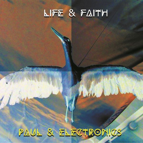 Paul & Electronics