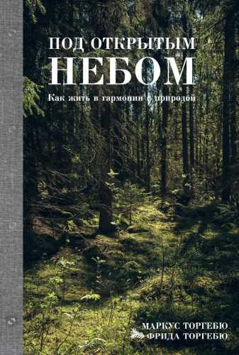 Под открытым небом