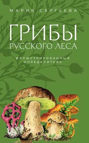 Грибы русского леса
