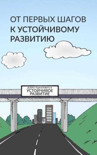 От первых шагов до устойчивого развития