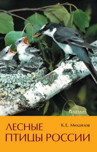 Лесные птицы России