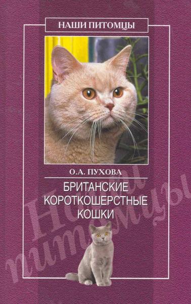 Олеся Пухова. Британские короткошерстные кошки