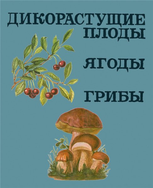 В.Н. Колдаев. Дикорастущие плоды, ягоды, грибы
